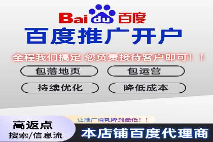 SEM托管公司案例研究：优化策略解析